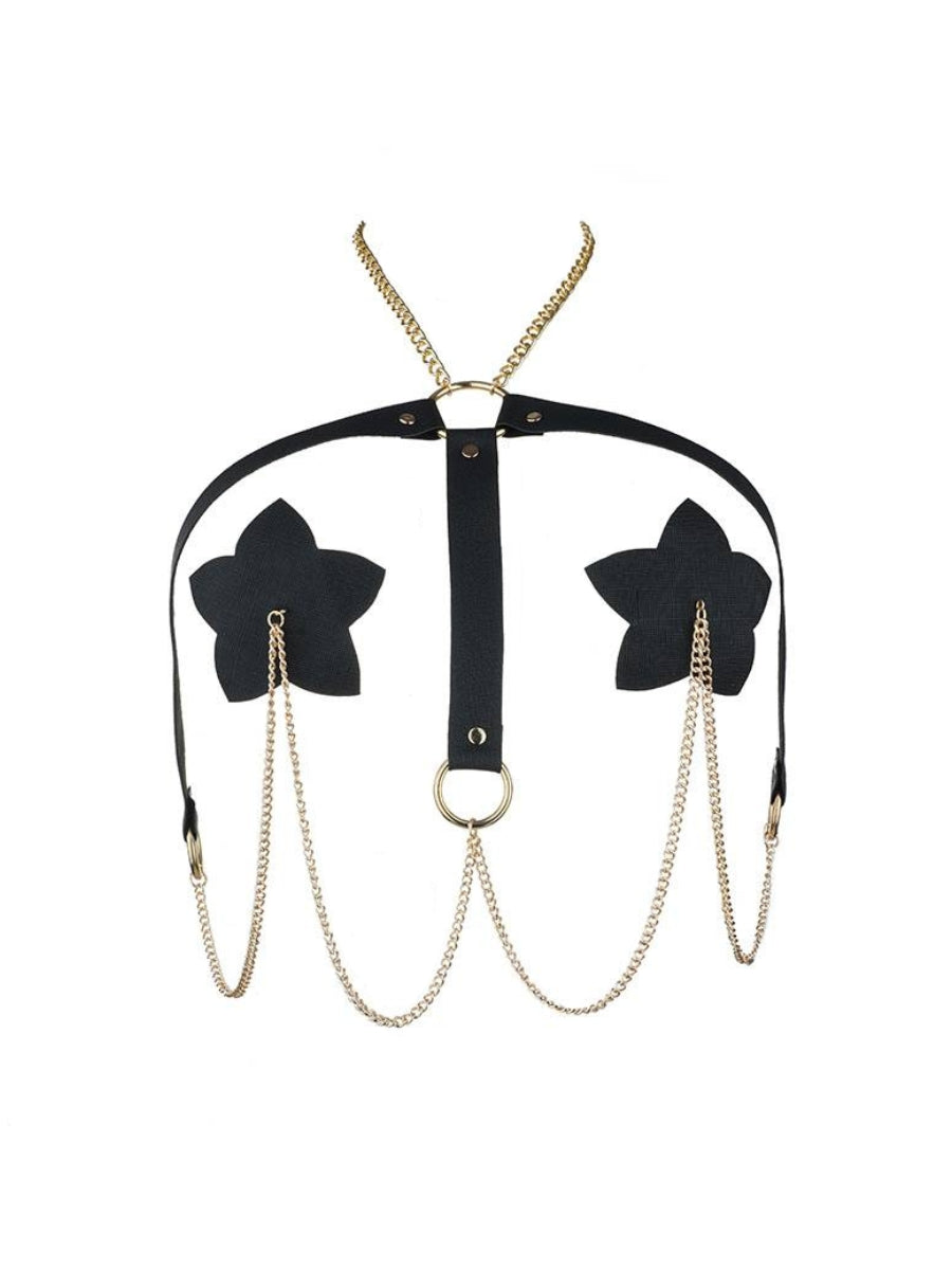 Pasties Étoile pour Mamelons